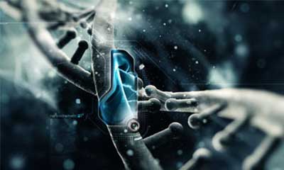 星空体育app登陆